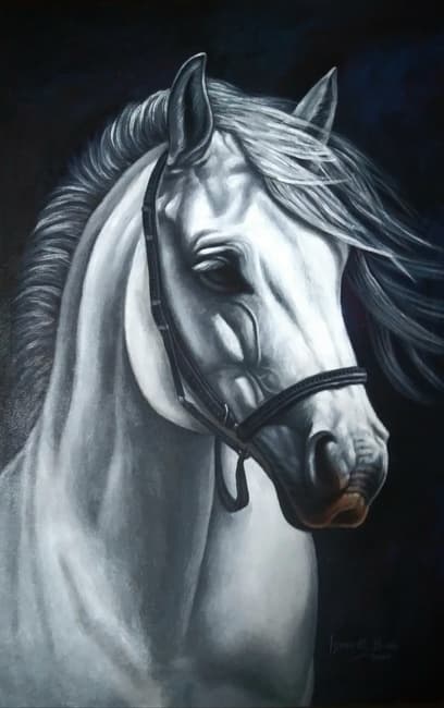 Majestic White Horse Portrait